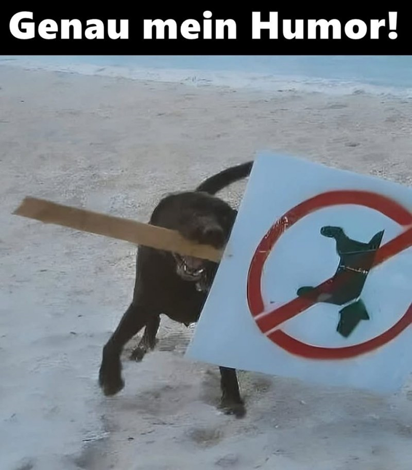 1741960826119.png