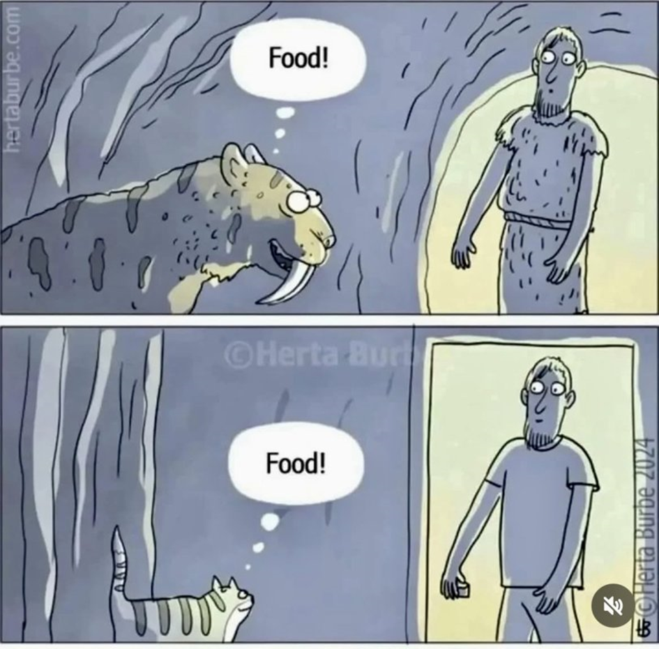 1742405695714.png