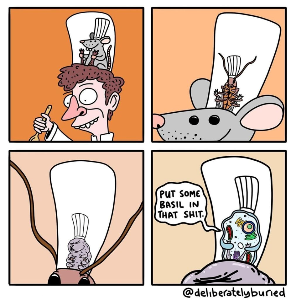1742497335630.png