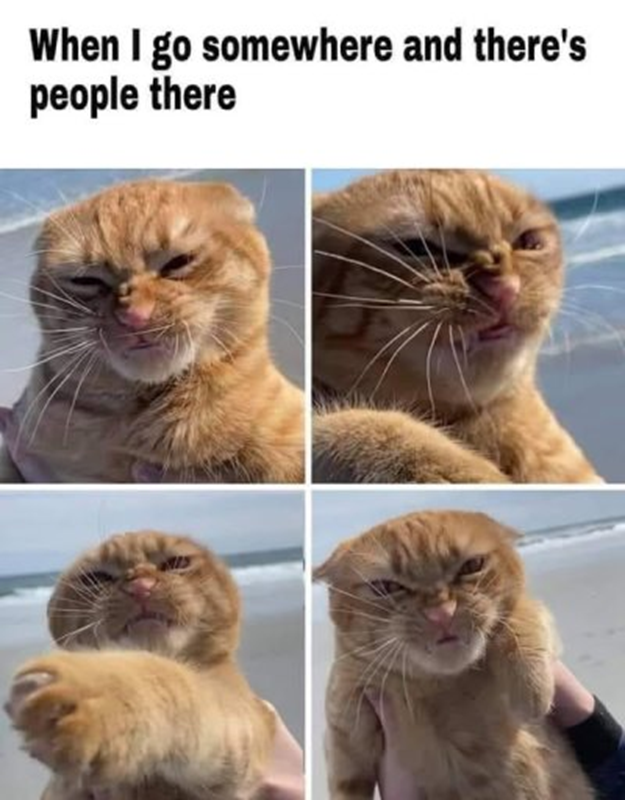 1742584035350.png