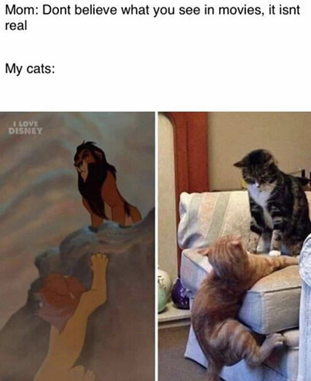 1742952467642.png