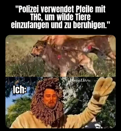 1743190016734.jpeg