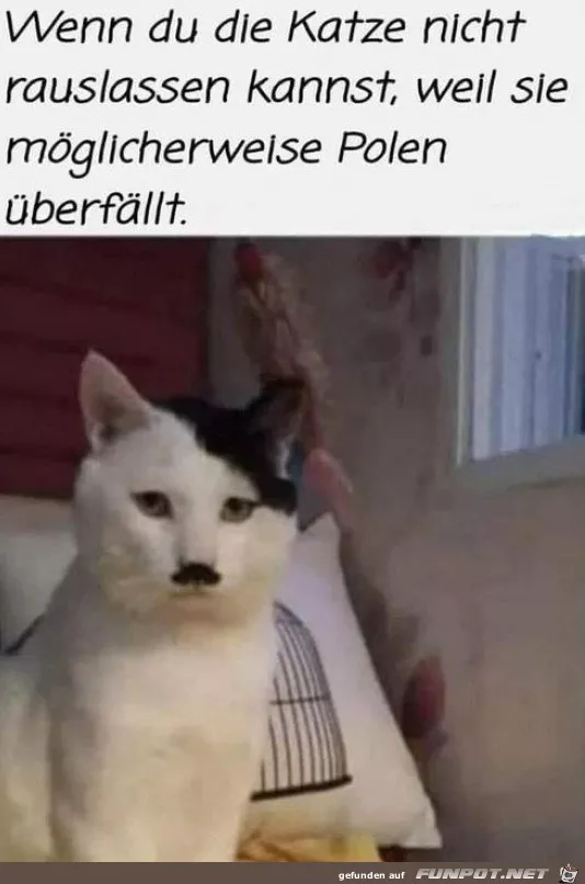 1744130878928.png