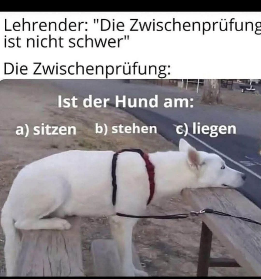1744672345294.png