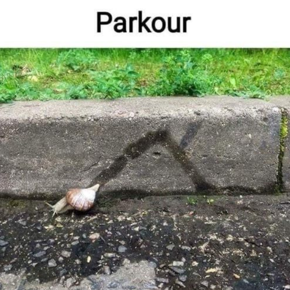 1744687073416.png