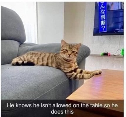 1746029641492.jpeg
