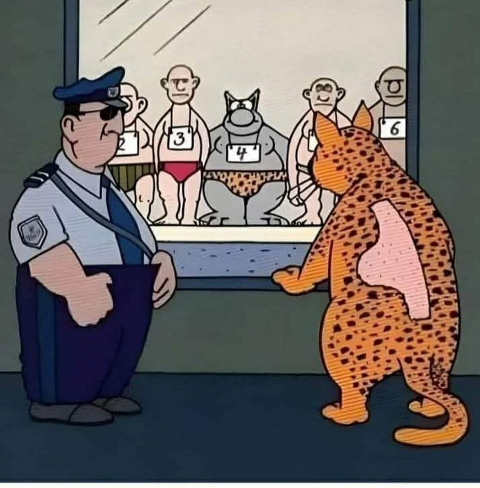 1746032026689.png