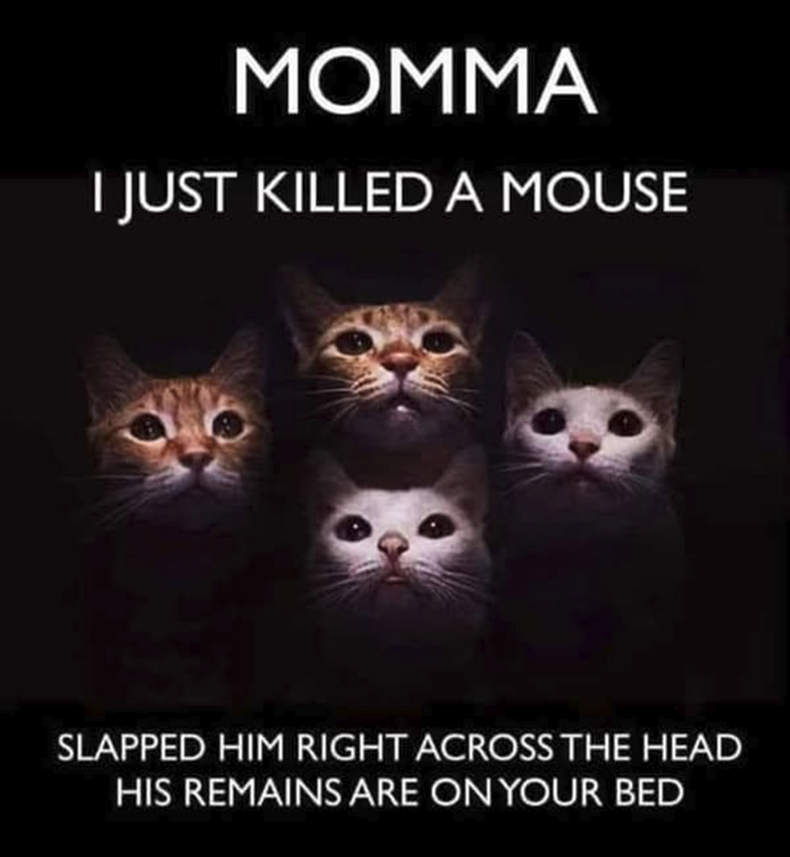 1746212667709.png