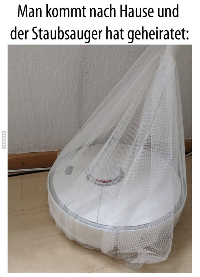 1746482420449.jpeg