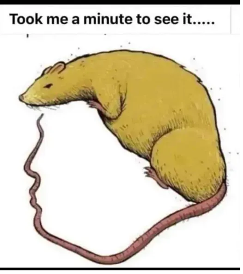 1746577156740.png