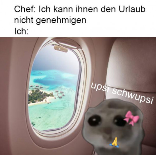 1746819659617.jpeg