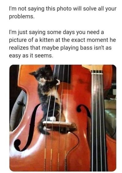 1746834636538.jpeg