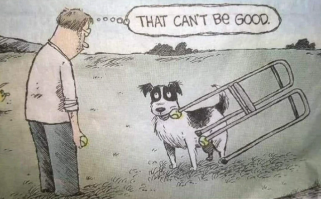 1747410040567.png