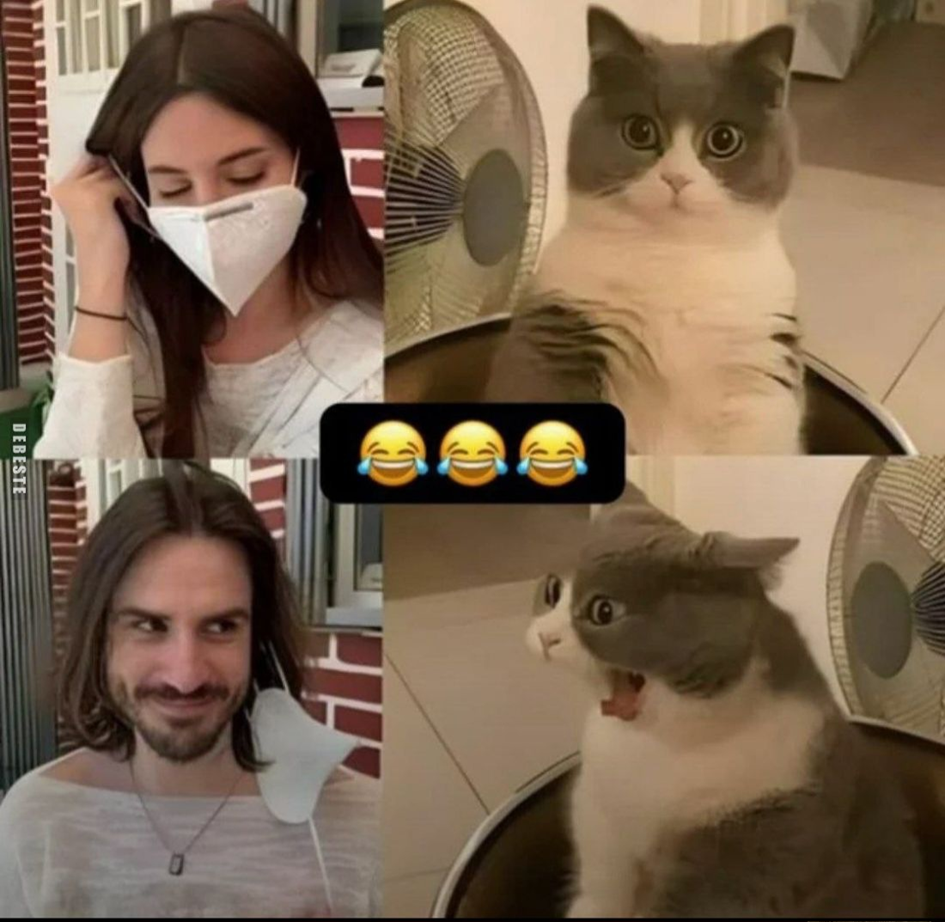 1747665043681.png