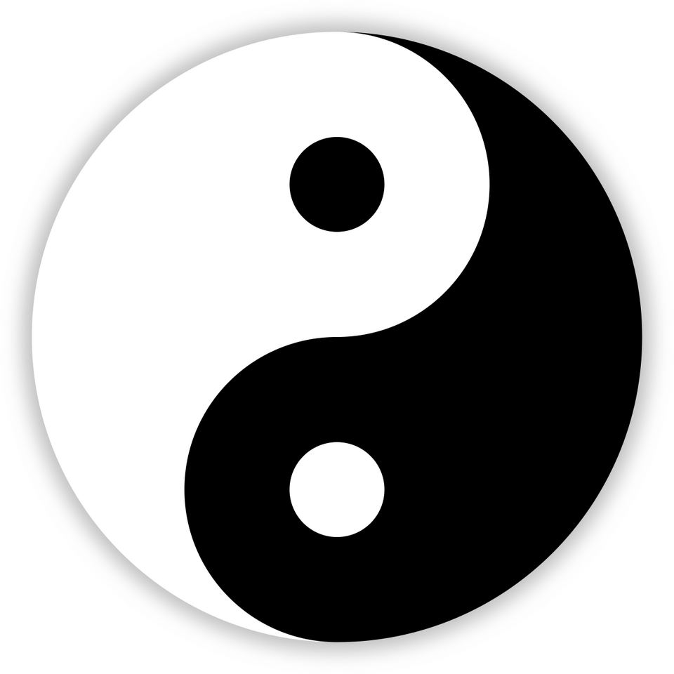 1747673310936.png