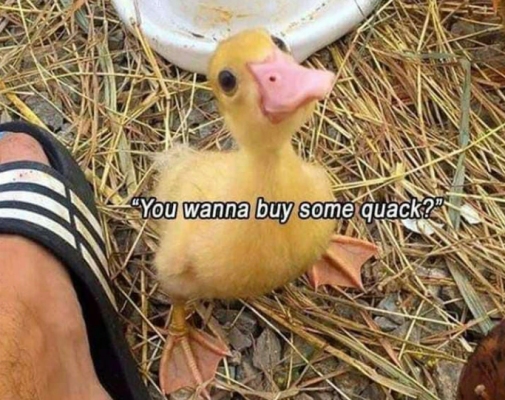 1748616445698.png