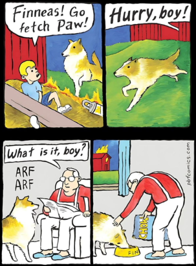 1748889330793.png