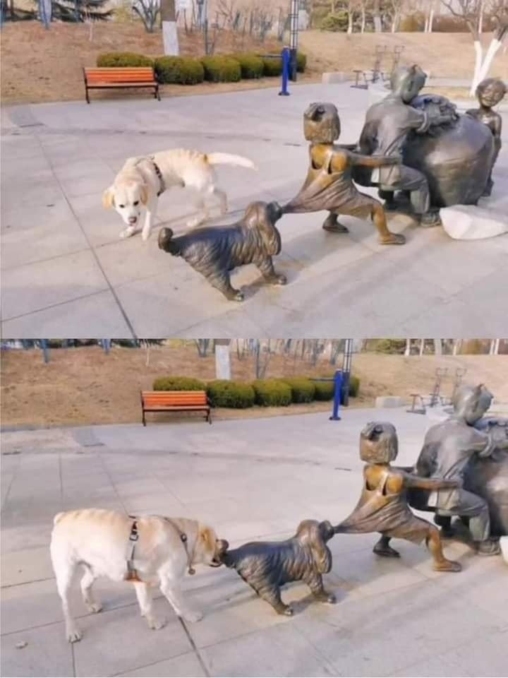 1748964318983.jpeg