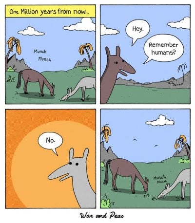 1749531697082.jpeg