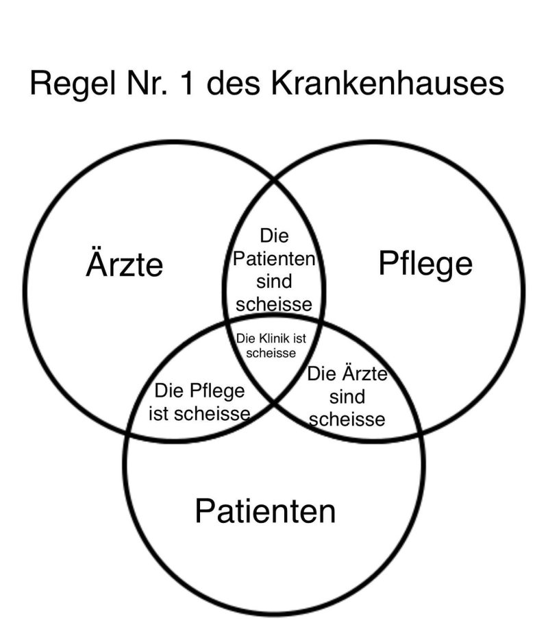 1749540798895.jpeg