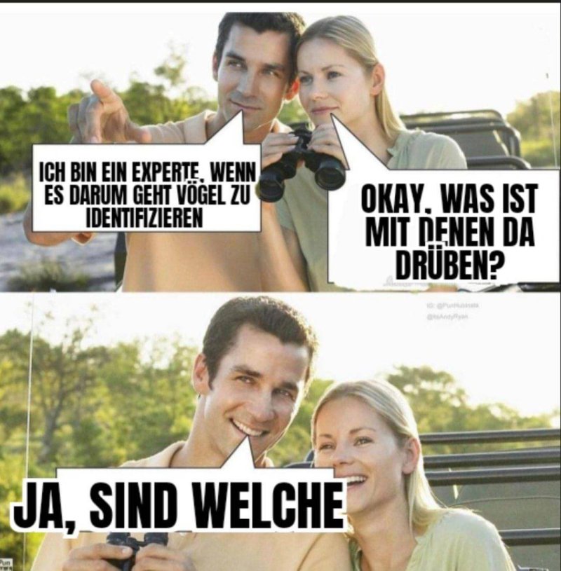 1749662356315.jpeg