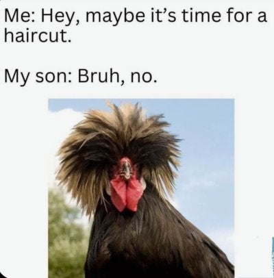 1749748212946.jpeg