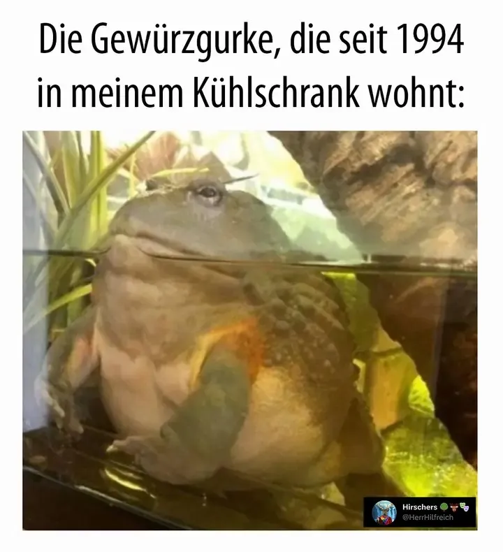 1749855838243.png