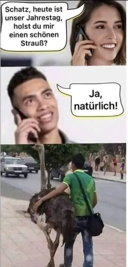 1749856427960.png