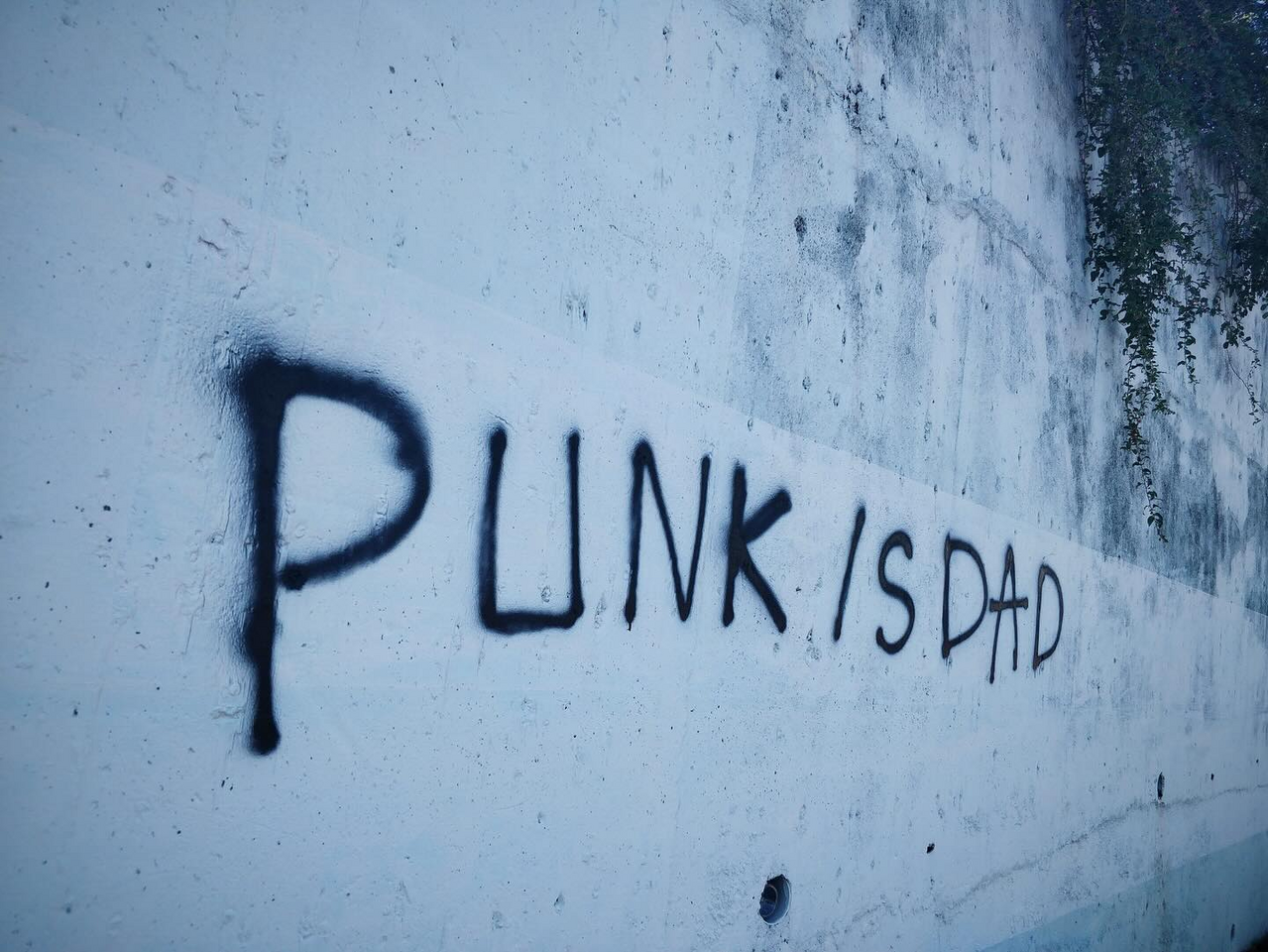 1750145416452.png