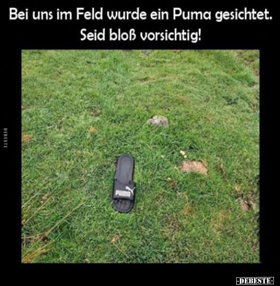 1750360092678.jpeg