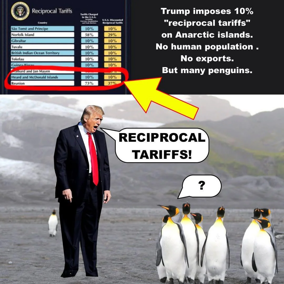 1750695628709.png