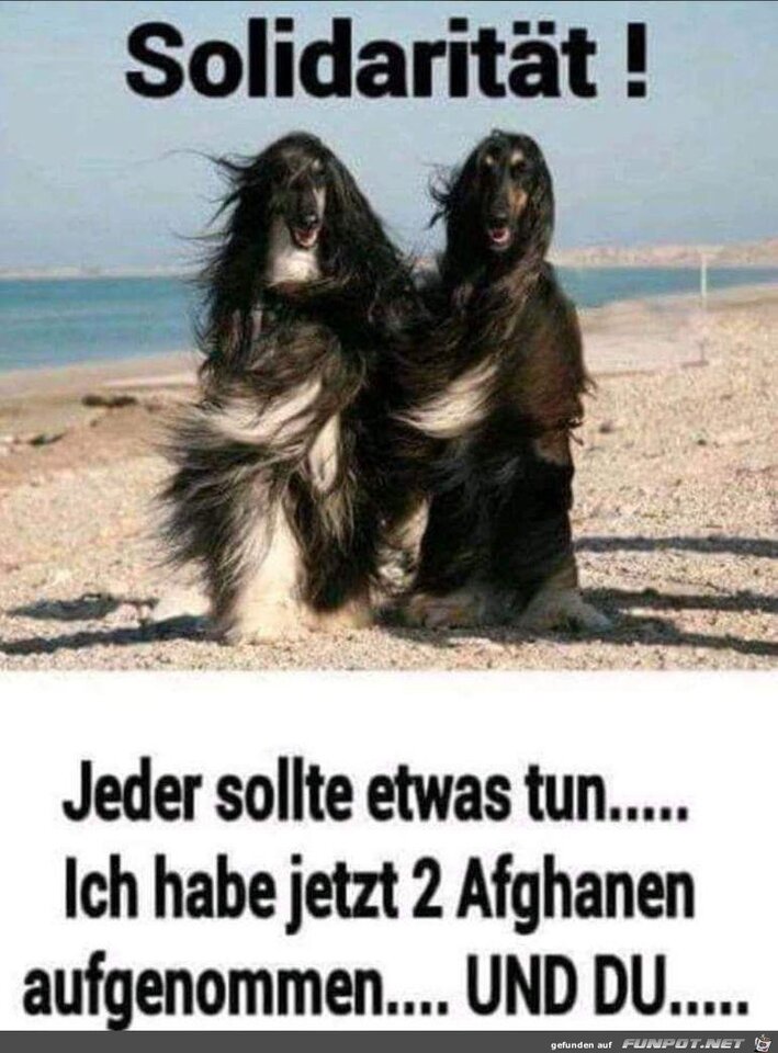 1750788777234.jpeg