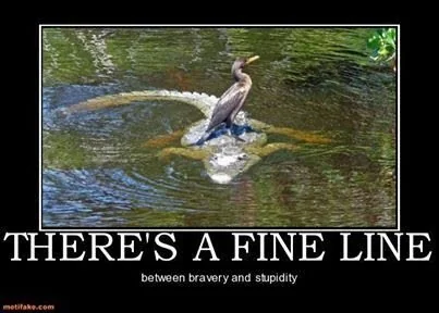 1750788881198.png