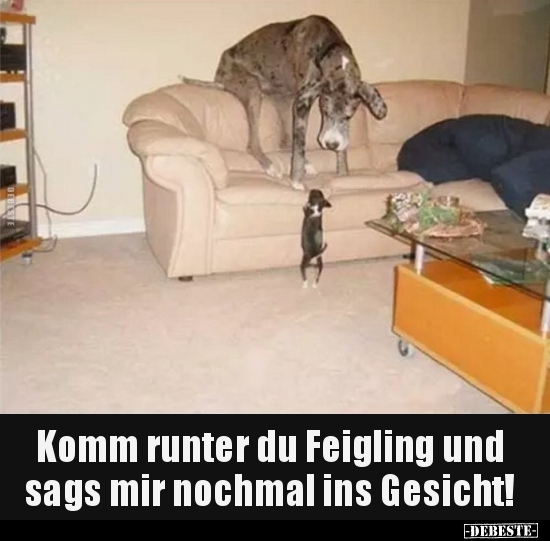 1750789388338.jpeg