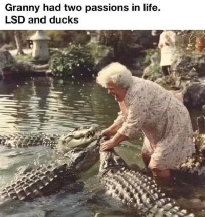 1751377057347.jpeg