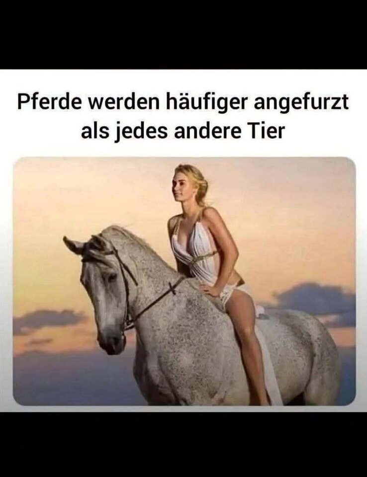 1751392747739.jpeg