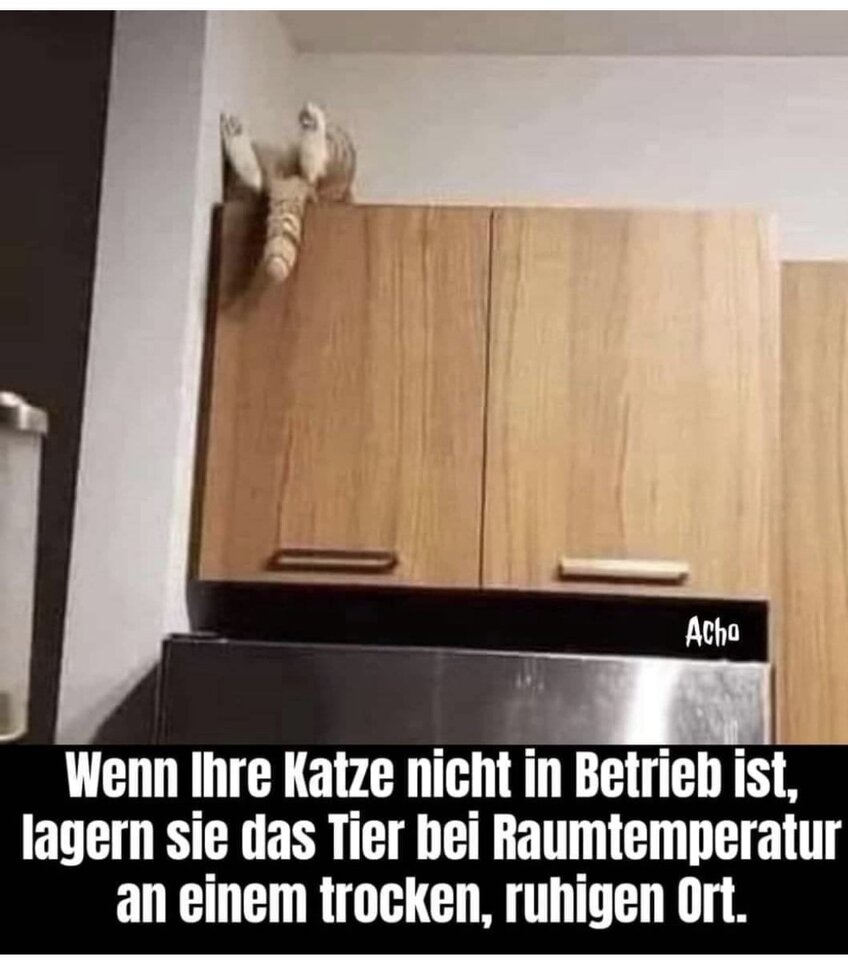 1751392858820.jpeg