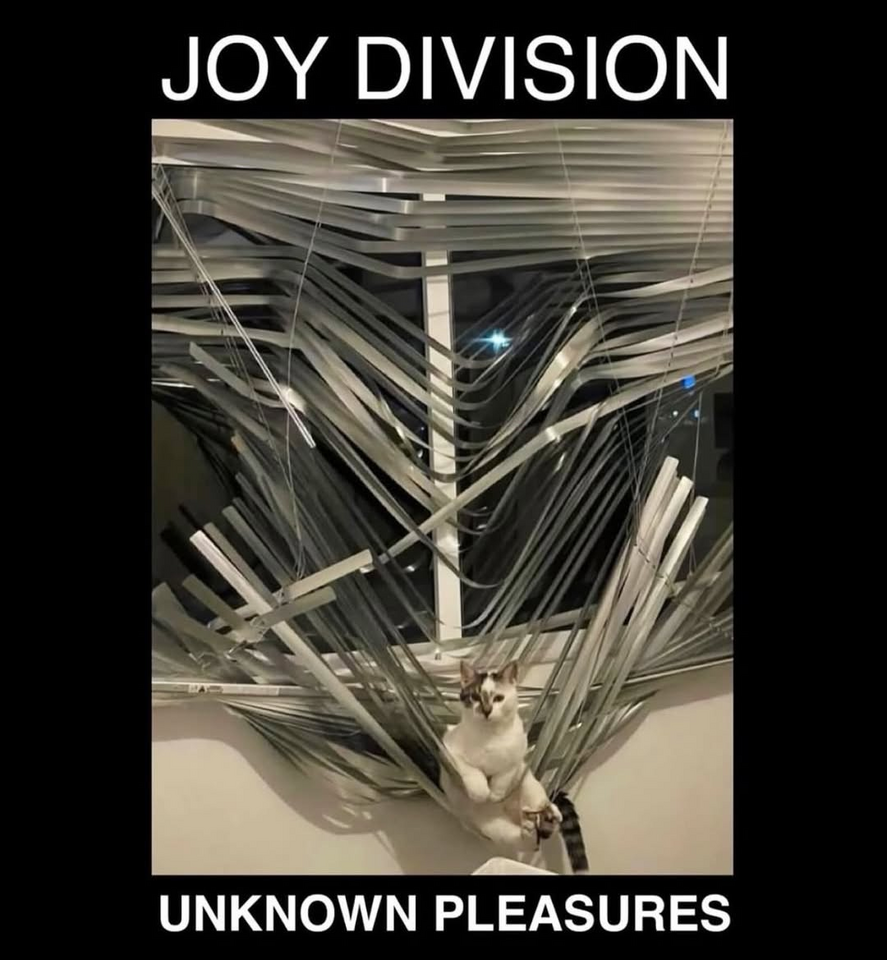 1752067877991.png