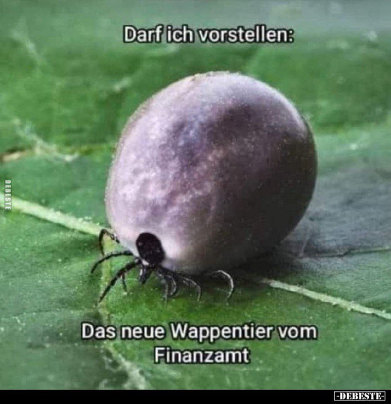 1753049630975.jpeg