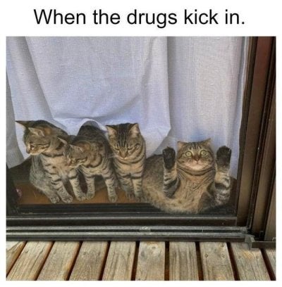 1753885920396.jpeg