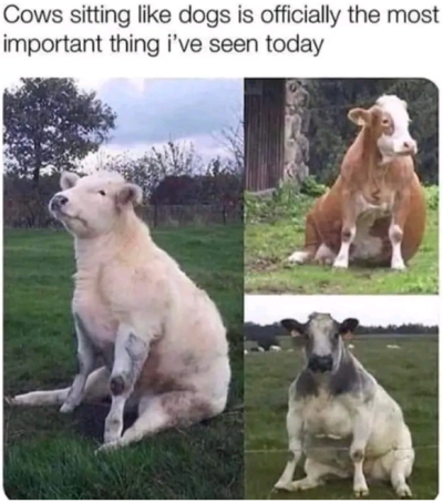 1754052534685.png