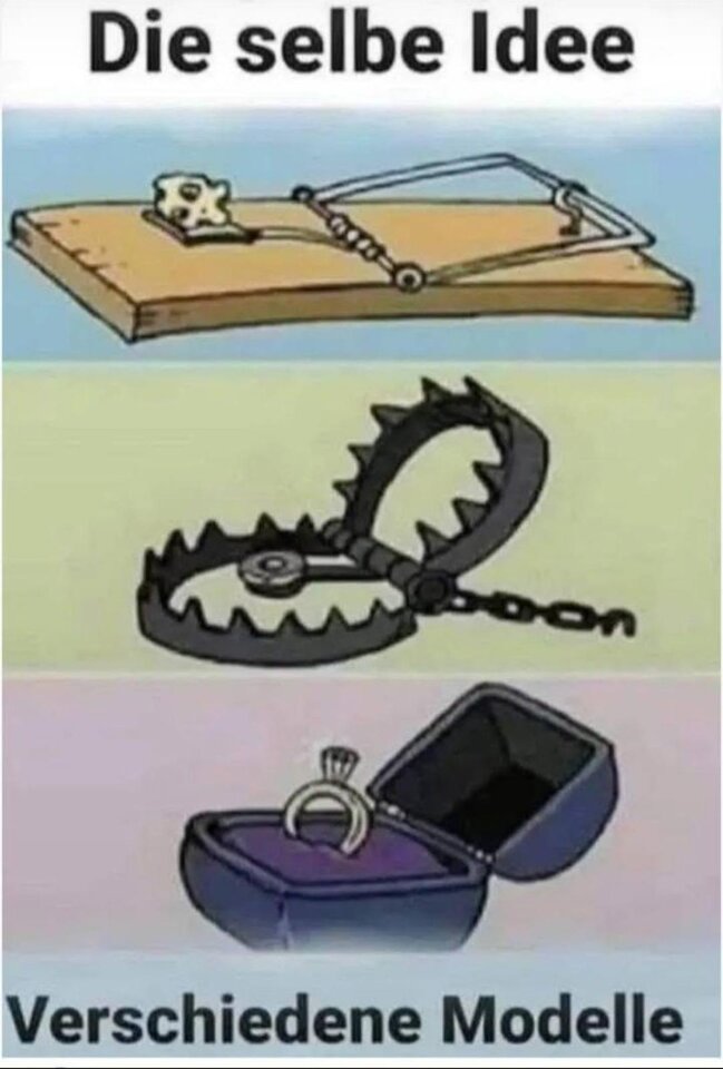 1754072553054.jpeg
