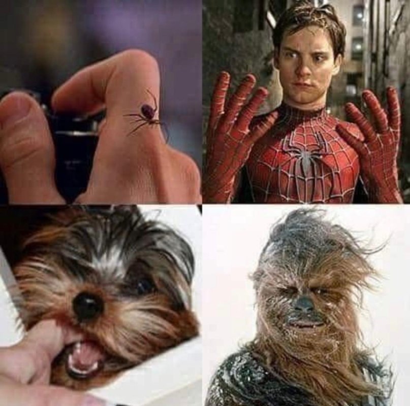 1754233114348.jpeg