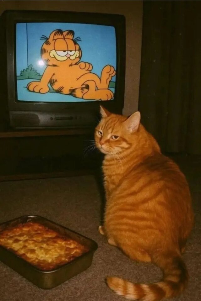 1754233364421.jpeg