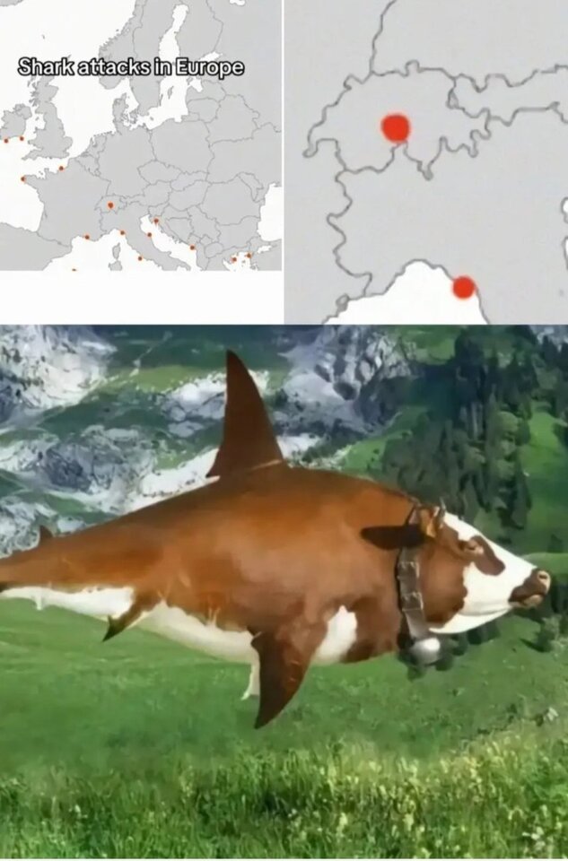 1754233395456.jpeg