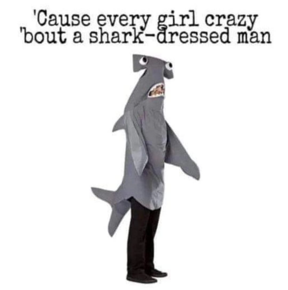 1755861346177.png
