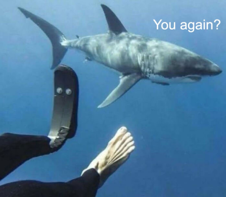 1756745907433.png