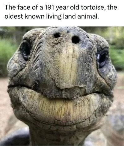 1756829827269.jpeg