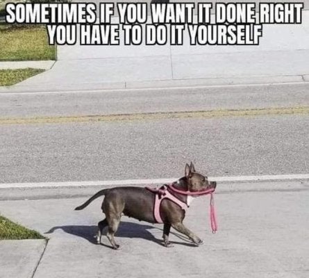 1756911250135.jpeg