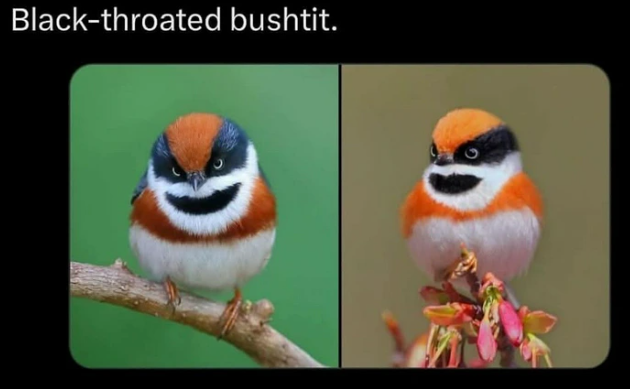 1757142672530.png